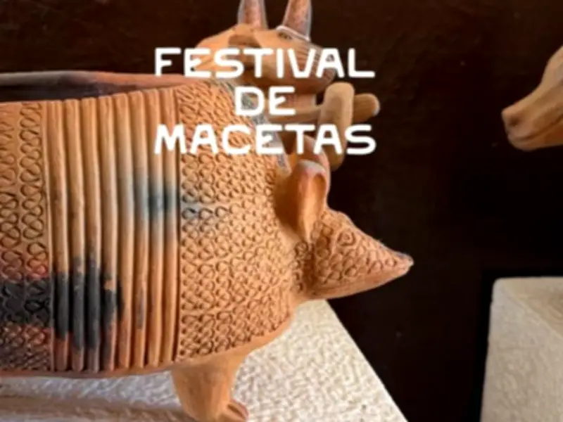 Festival de Macetas 2026: la maceta como arte y cultura en CDMX