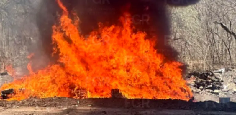 FGR incinera más de 9 toneladas de narcóticos en Sinaloa
