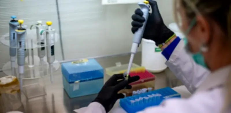 Francia descarta contagios de hantavirus en 26 personas bajo observación