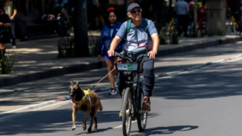 Frente frío 48 trae lluvias y calor extremo en 22 estados