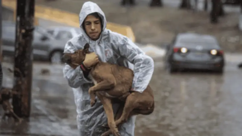 Frente frío 50 traerá lluvias fuertes en 30 estados este martes
