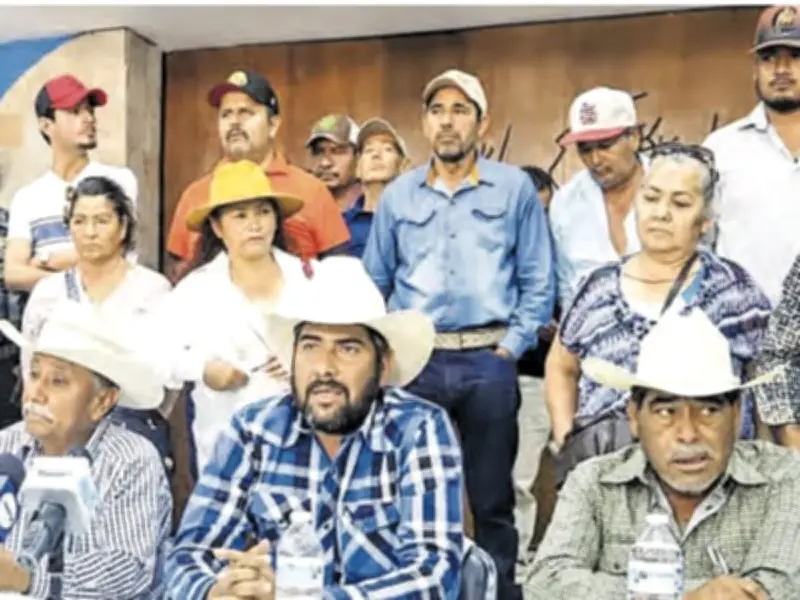 Frijoleros de Zacatecas denuncian abandono en mesa de diálogo