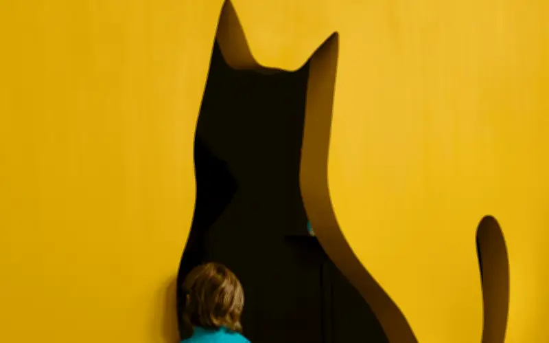 Gatos invaden el MAZ: exposición "Cien gatos" de Cecilia Rébora
