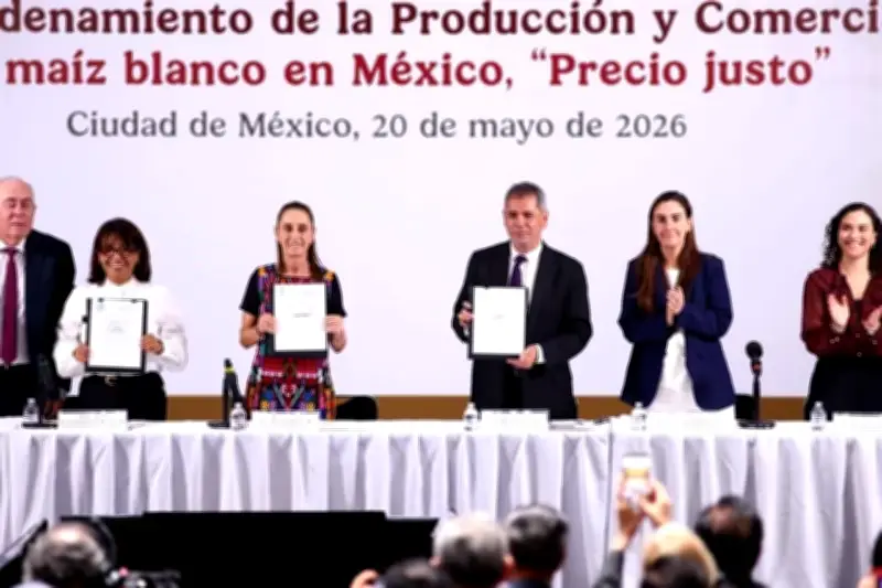 Gobierno lanza plan de precio justo para maíz blanco