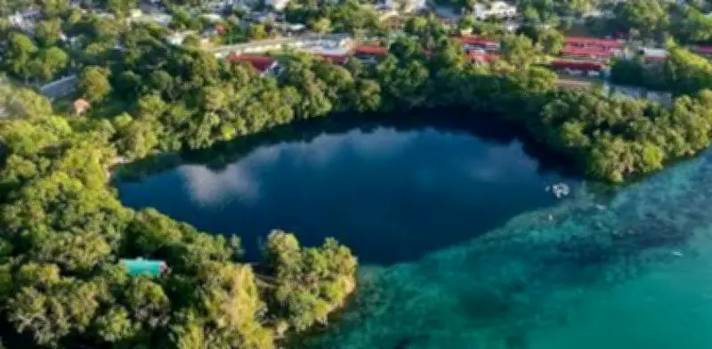 Greenpeace celebra rechazo de Semarnat a proyecto turístico en Mahahual