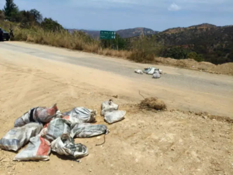 Hallan 10 cuerpos en Guerrero: seis desmembrados y cuatro torturados