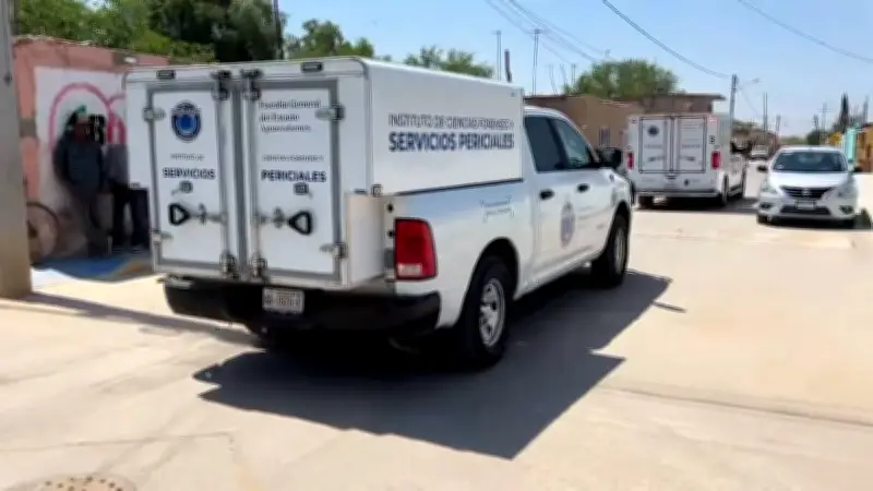 Hallan 7 cuerpos en Aguascalientes con manos atadas; despliegan operativo