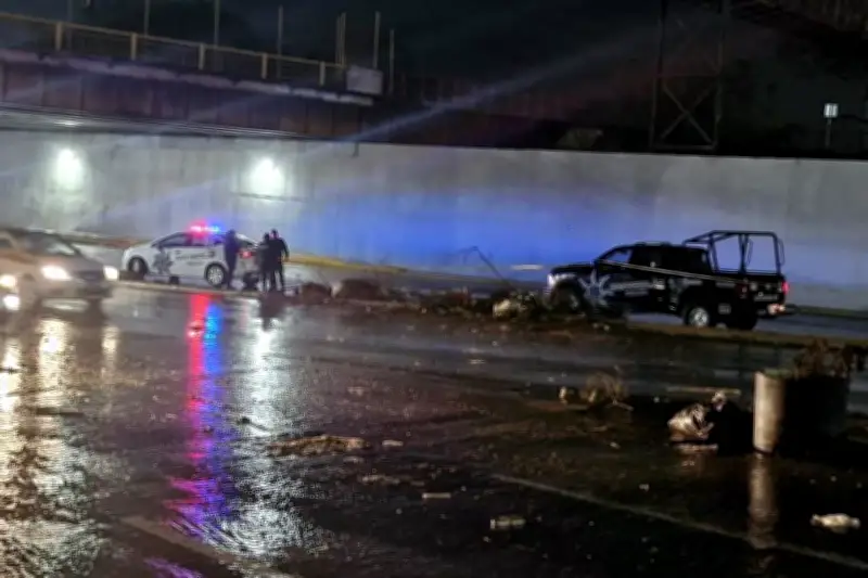 Hallan brazo humano atorado entre ramas en NL