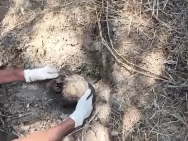 Hallan crematorio clandestino con 17 hornos en Lagos de Moreno