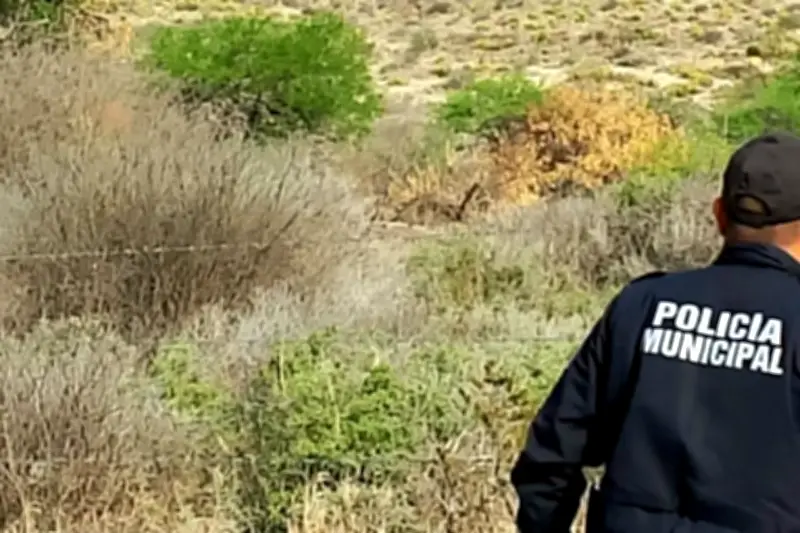 Hallan dos torsos humanos en carretera 57 en Querétaro