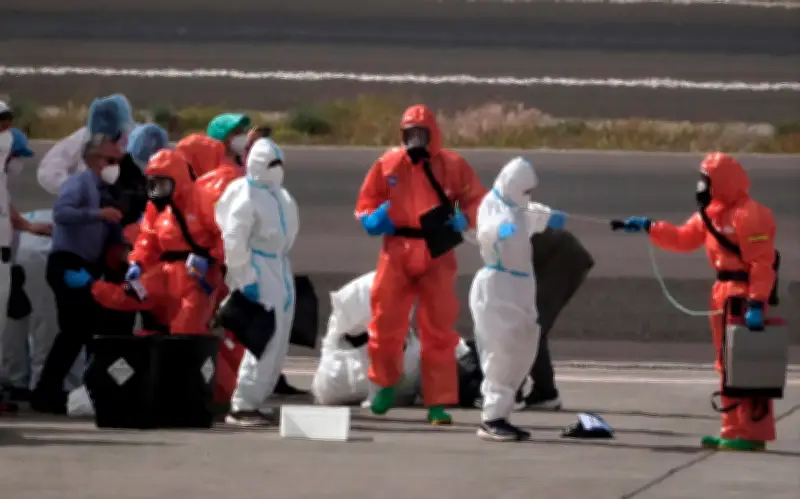 Hantavirus en crucero: OMS confirma 11 casos y bajo riesgo global