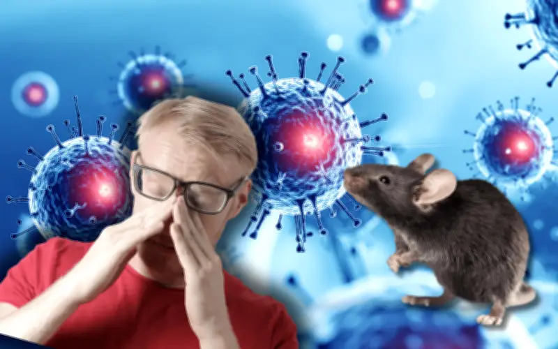 Hantavirus puede persistir en esperma humano hasta 6 años: estudio