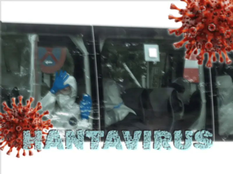 Hantavirus: qué le pasa al cuerpo y el brote en el crucero MV Hondius