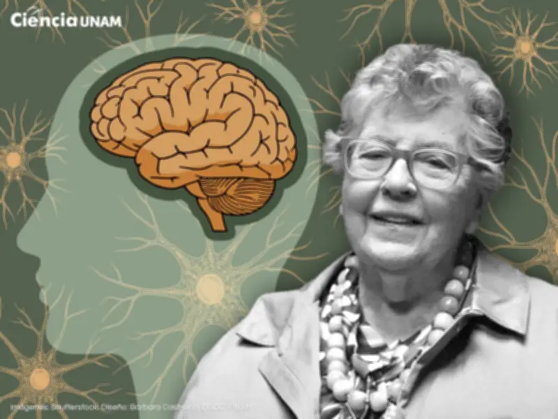 Herminia Pasantes: el cerebro humano es dinámico y cambia toda la vida