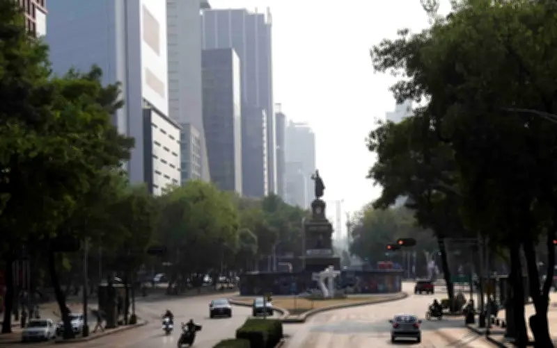 Hoy No Circula 16 mayo: autos que no circulan en CDMX y Edomex