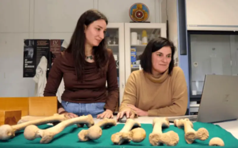 Huesos revelan edad de la menstruación en restos medievales españoles