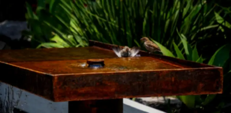 Inauguran espejo de agua renovado en Chapultepec, CDMX