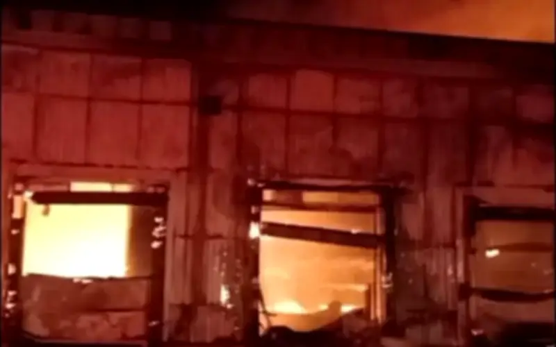 Incendio consume almacén de pollos en Lagos de Moreno, Jalisco