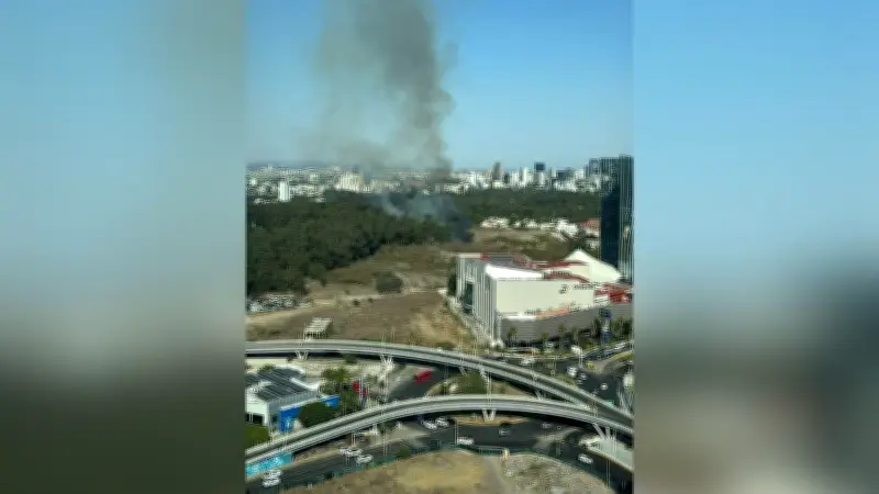 Incendio en Bosque Los Colomos: bomberos combaten el fuego