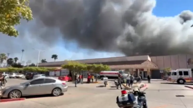 Incendio en Plaza Ley Palmas: Misión ECO desplegada por Sheinbaum