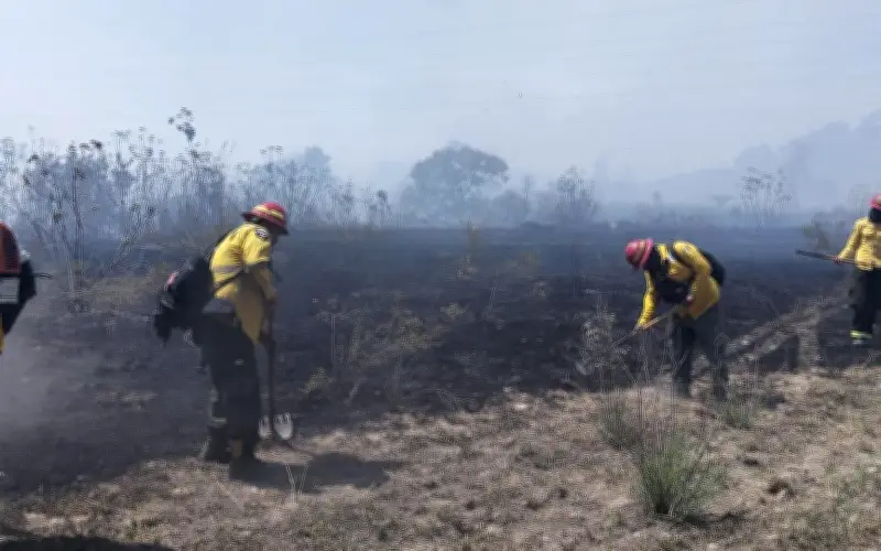 Incendio forestal en El Pinar, Zapopan moviliza a más de 50 combatientes