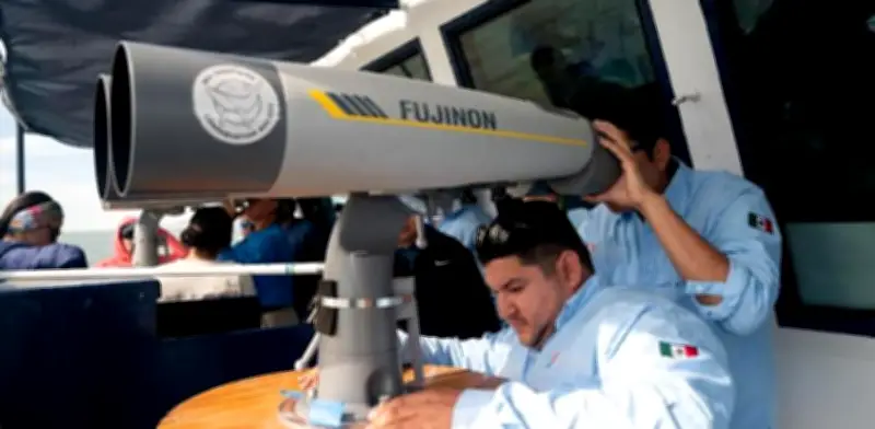 Inicia crucero Vaquita para entrenar observadores y rastreadores moleculares