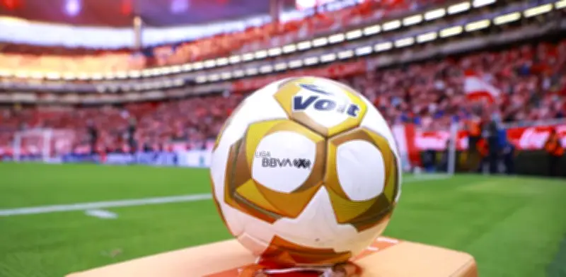 Liga MX: Semifinales del Clausura 2026 con Pumas, Chivas, Cruz Azul y Pachuca