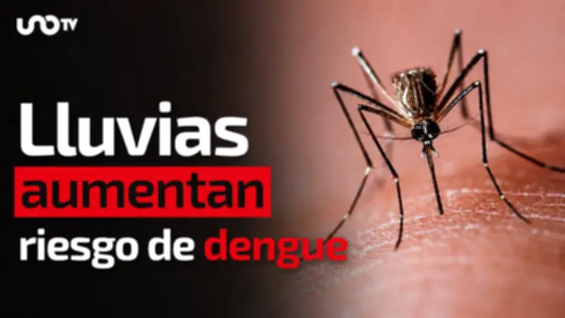 Lluvias elevan riesgo de dengue: Cenapred pide eliminar criaderos en casa