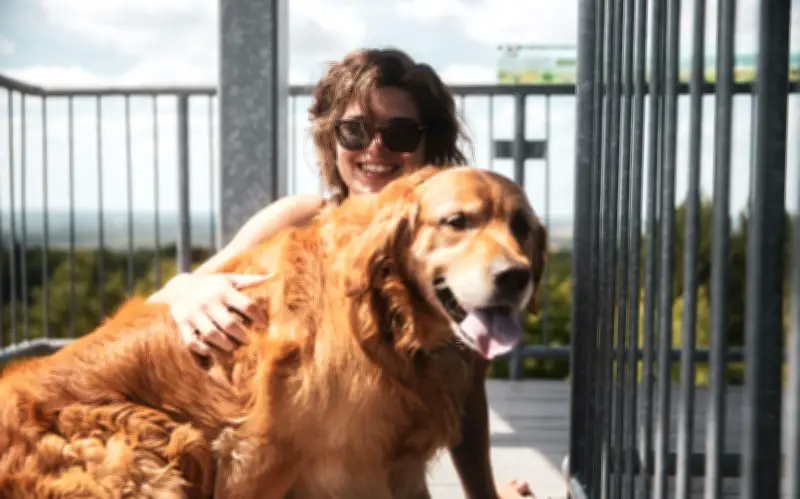 Los 5 mejores perros de compañía que transformarán tu vida