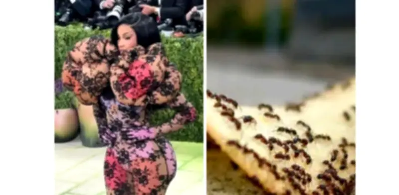 Los mejores memes de la Met Gala 2026 que arrasaron en redes