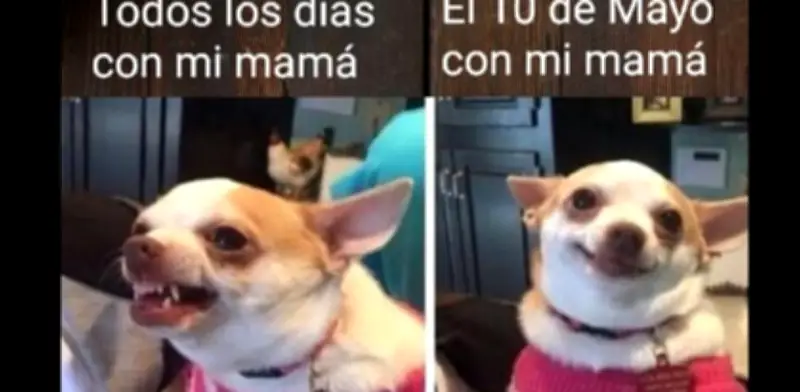 Los mejores memes para celebrar el Día de las Madres en México