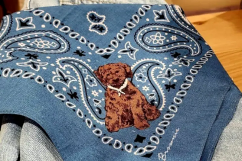 Marca de moda dedica colección a su perrito