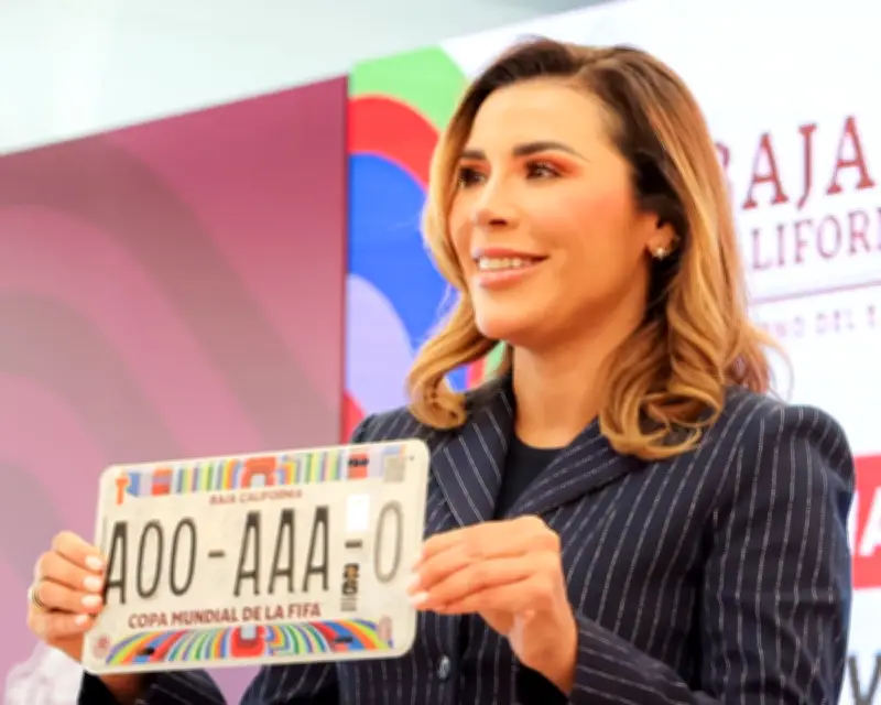 Marina del Pilar descarta solicitar licencia como Rocha Moya
