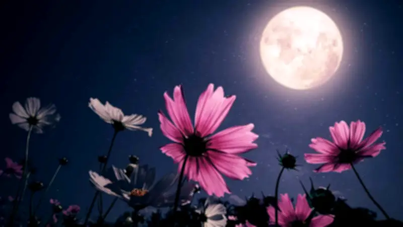 Mayo 2026 tendrá doble luna llena: fechas y horarios en México