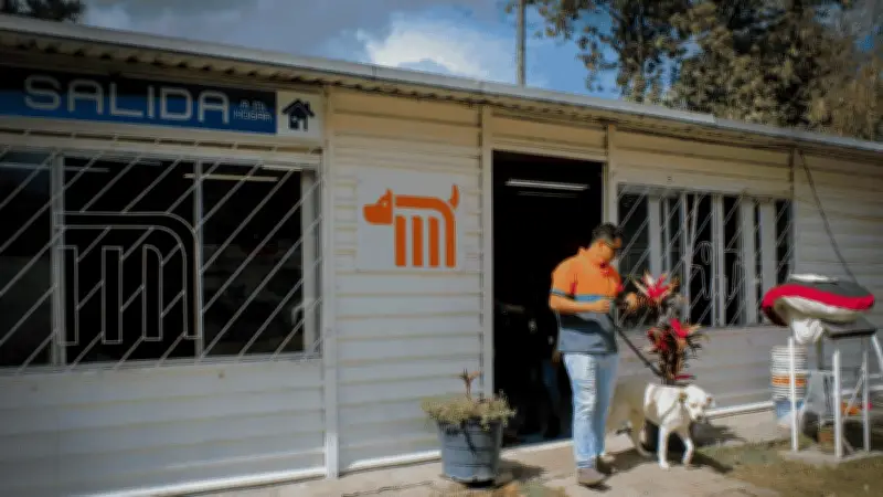 Metro CDMX invita a adoptar perros rescatados en PETFEST 2026