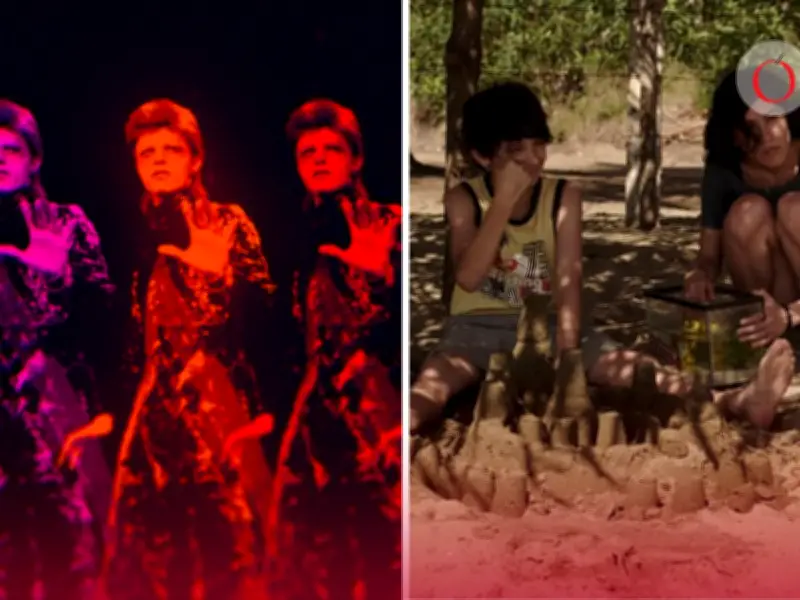 Moonage Daydream y Los insólitos peces gato: cine imperdible en streaming