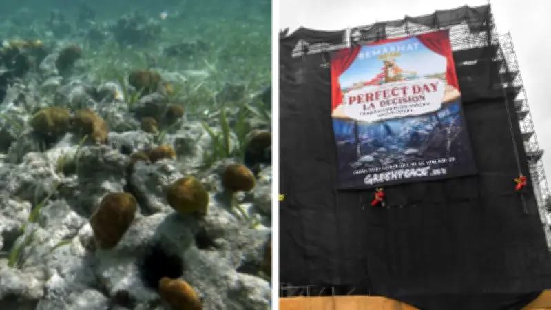 Más de 4.1 millones firman contra megaparque acuático en Mahahual