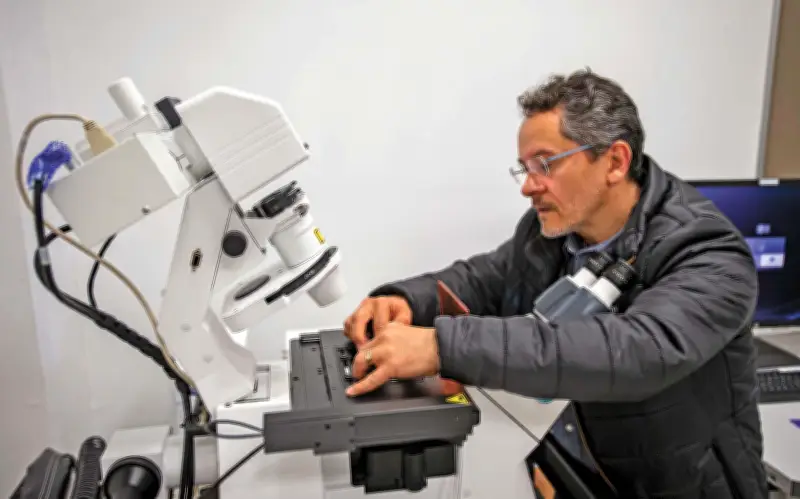 Más del 70% de investigadores en México carece de estabilidad laboral