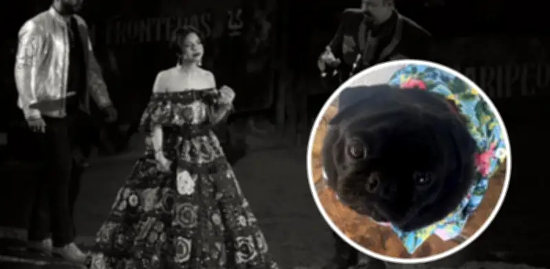 Muerte de Chancho, pug de Ángela Aguilar, genera polémica y exigen respuestas
