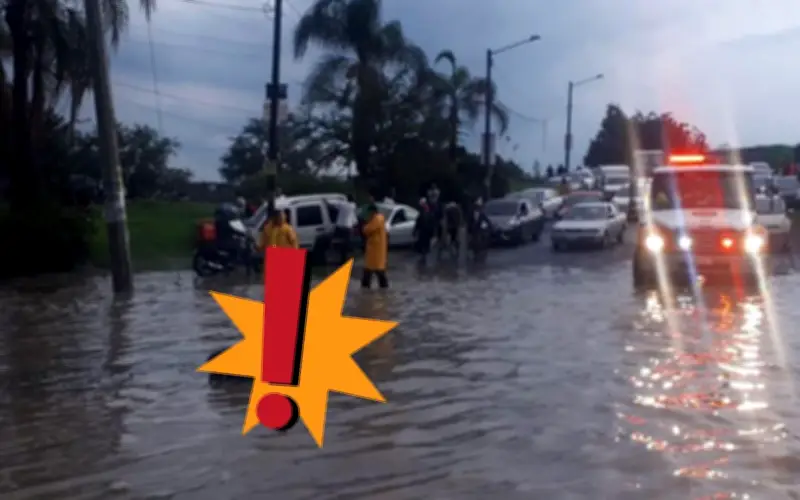 Mundial 2026 Guadalajara: 600 zonas con riesgo de inundación