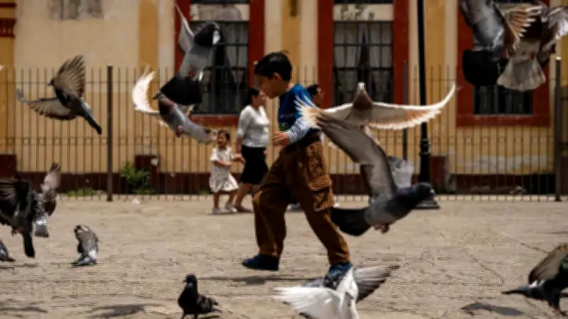 México combate trabajo infantil rumbo al Mundial 2026