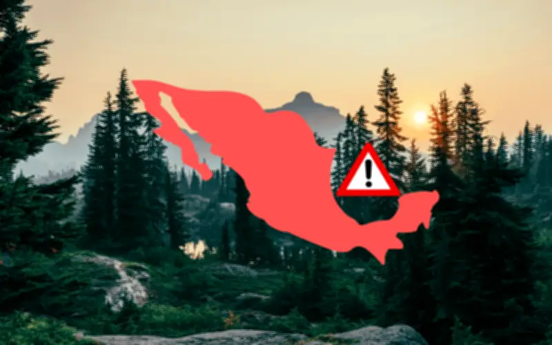 Oaxaca: el estado más letal para ambientalistas en México en 2025