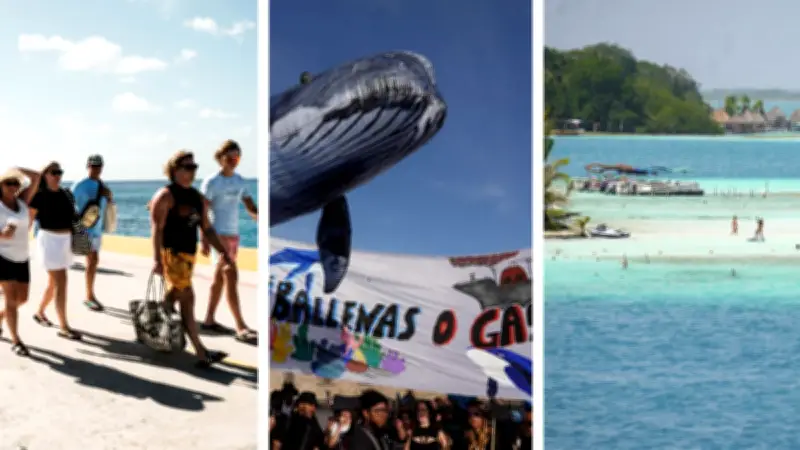Obras de lujo amenazan arrecifes, lagunas y playas en México
