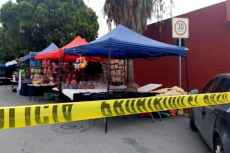 Ocho personas resultan picadas por abejas en mercado rodante