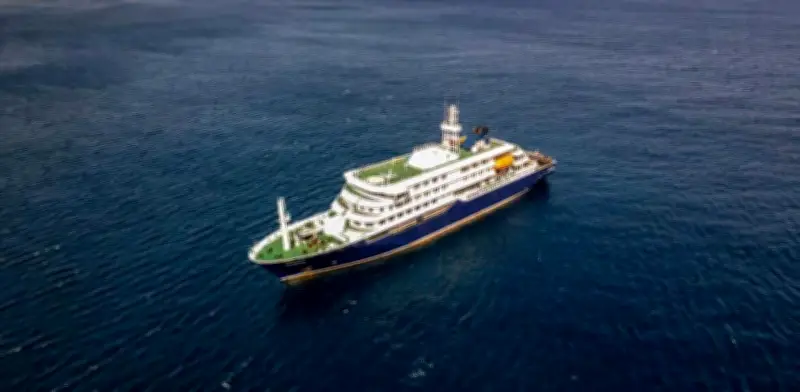 OMS: bajo riesgo por hantavirus en crucero; Países Bajos busca repatriar a 2 enfermos