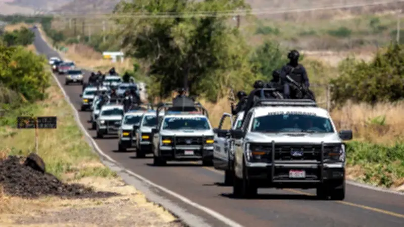 Operativo Enjambre: más de 70 detenidos en 10 estados del país