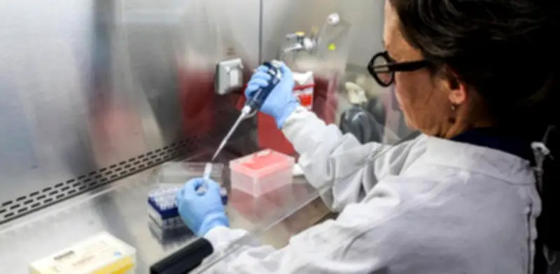 Pareja neerlandesa muerta por hantavirus recorrió tres países antes de embarcar
