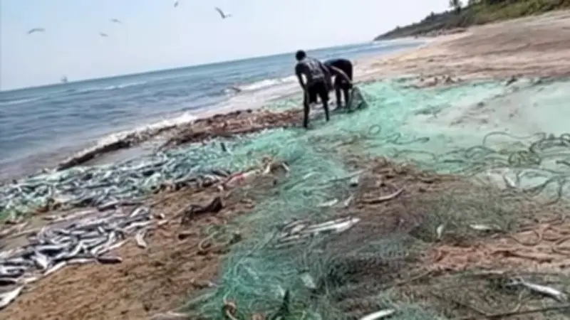 Pescadores de Cárdenas sin vender tras derrame de Pemex