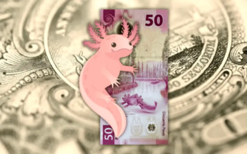 Peso mexicano se recupera frente al dólar; cierra semana con ganancias