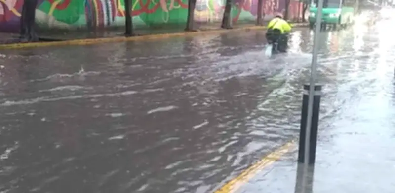 Pérdida de áreas verdes agrava inundaciones en CDMX
